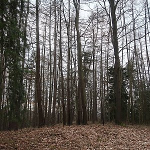 Bouřka na vrcholu Parny (10.2.2022 17:00)