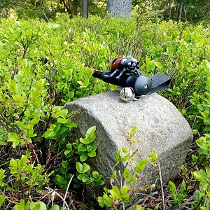 Jiřina on the summit of Velký Lučný SV (21.5.2023)