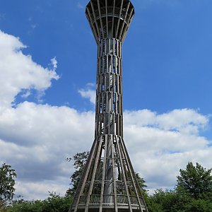 Radka D on the summit of Březák (16.7.2016 13:12)