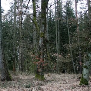 Bouřka na vrcholu Ošupaná J (6.2.2024 15:50)