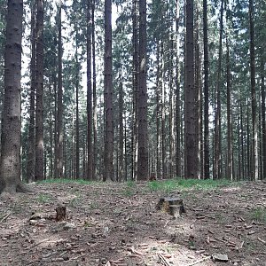 ZdenkaV na vrcholu Smradlava (22.5.2022 10:50)