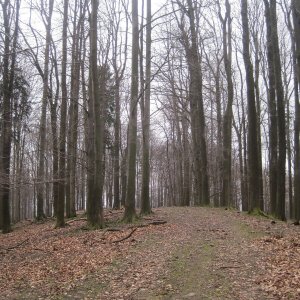ZdenkaV na vrcholu Kazničov Z (21.3.2026 11:17)