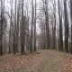 ZdenkaV na vrcholu Kazničov Z