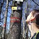 Pajulka na vrcholu Velký Polom (21.4.2018 13:11)