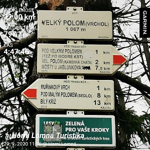Medvěd Codiak na vrcholu Velký Polom (29.9.2020 12:45)