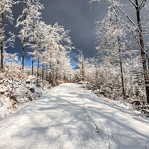 Tereza na vrcholu Velký Polom (10.1.2021 12:21)