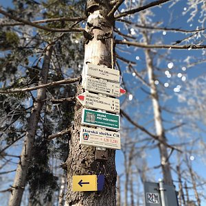 Ivka na vrcholu Velký Polom (28.2.2021 14:23)