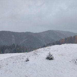 Ila na vrcholu Kostelíky SZ II (21.11.2024)