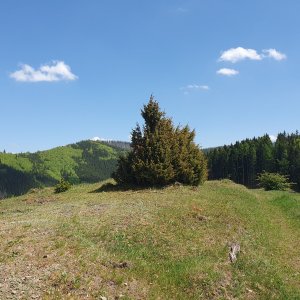 Ivo na vrcholu Kostelíky SZ II (10.5.2026 13:37)