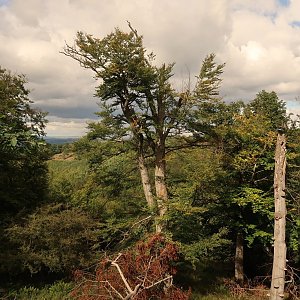 Bouřka na vrcholu Nad Milčí (10.9.2022 14:38)