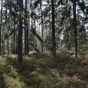 ZdenkaV na vrcholu Jilmý (15.4.2022 16:33)