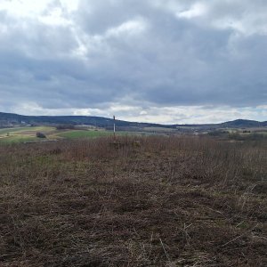 Cyklista 73 on the summit of Na Skalce (17.3.2025 13:01)
