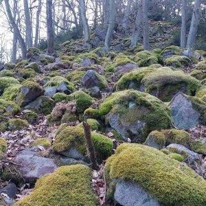 Mykas on the summit of Provazec (25.2.2025 17:25)