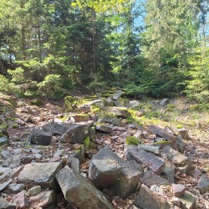 Cyklista 73 on the summit of Provazec (1.5.2025 10:27)