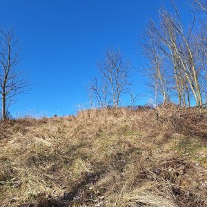 Cyklista 73 on the summit of Ostrý vrch (2025)