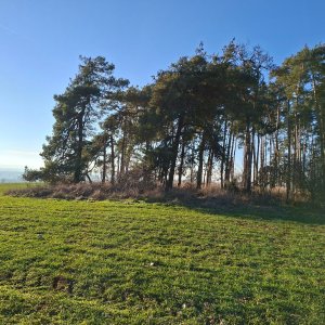 Cyklista 73 on the summit of Křemel (26.12.2025 13:50)