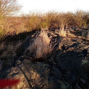 Jiřina na vrcholu Stříbrný kopec (19.2.2022)
