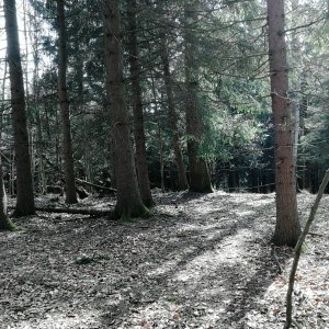 Vladimír Grančay na vrcholu Buzrakov - J vrchol (4.3.2026 12:31)