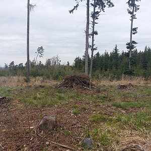 Cyklista 73 on the summit of Pramný (22.4.2022 10:14)