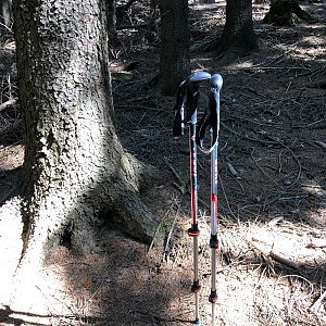 Radka D na vrcholu Polana SZ (18.6.2022 10:04)