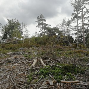 Vladimír Grančay on the summit of Planinský vrch (22.9.2021 15:01)
