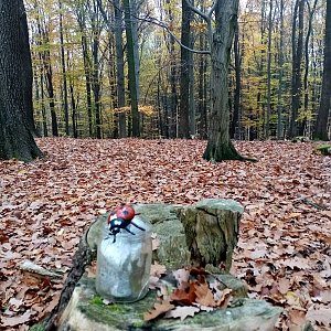 Jiřina na vrcholu Chochol (28.10.2022 15:40)