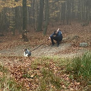 Mertelici na tripu na vrcholu Chochol (28.10.2022 17:03)