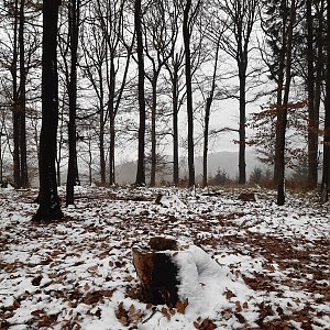 ZdenkaV na vrcholu Chochol (21.11.2022 11:19)