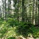 Vladimír Grančay on peak Bulov SZ1