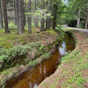akam na vrcholu Nad Rossbachem (28.7.2025 11:03)