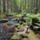 akam na vrcholu Nad Rossbachem JZ