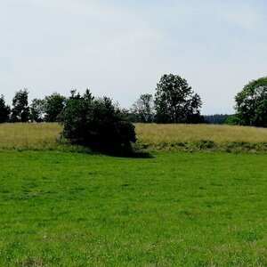 Šumava