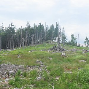 Vladimír Grančay na vrcholu Dřevěná hůl (13.6.2015 17:51)