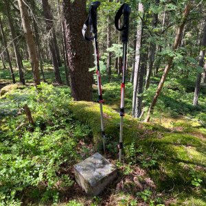 Radka D on the summit of Rock Outlook (17.6.2025 10:01)