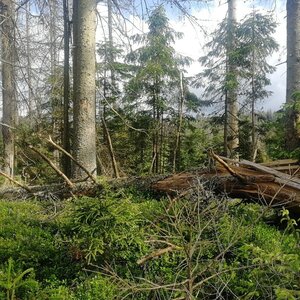 Vladimír Grančay na vrcholu Bor (26.5.2024 17:00)