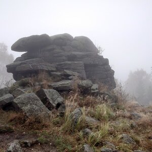 Nojby on the summit of Jeřabina (22.10.2024 9:27)