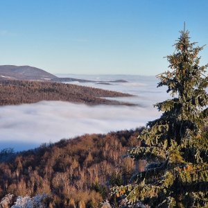 p_e_t_r_95 on the summit of Jeřabina (18.1.2025 15:22)