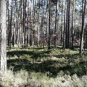 Novohradské podhůří