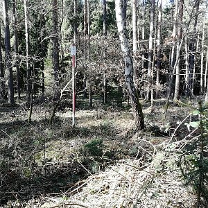 Vladimír Grančay na vrcholu Vrbice (19.2.2022 11:46)