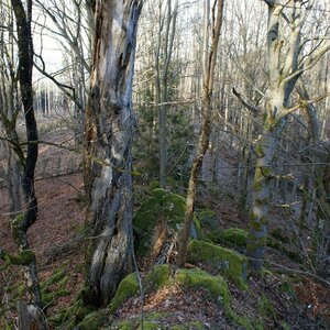 Bouřka na vrcholu Sedlácko (19.12.2023 13:41)
