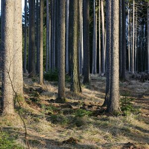 Bouřka na vrcholu Okrouhlík (19.12.2023 15:02)