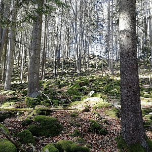 Vladimír Grančay na vrcholu Jeseň (19.2.2022 13:24)