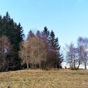 Šárka on the summit of Grun (22.3.2025 14:54)
