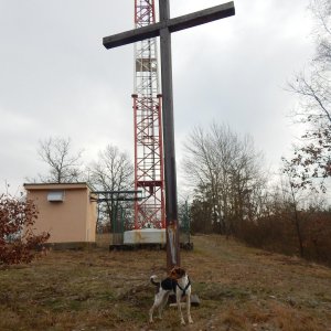 Figgo on the summit of Křížový vrch (28.12.2020 11:35)