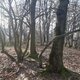 ZdenkaV na vrcholu Borčík (19.12.2023)