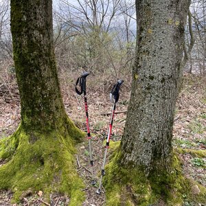 Radka D na vrcholu Borčík (22.3.2024 11:39)