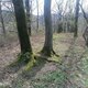 Zdena Trommler na vrcholu Borčík (29.3.2024)