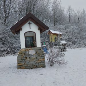 BILI na vrcholu Borčík (2.2.2026 12:31)