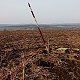 Jiřina na vrcholu Světlá (15.3.2022)