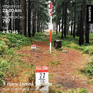 Medvěd Codiak na vrcholu Malý Polom (29.9.2020 15:00)